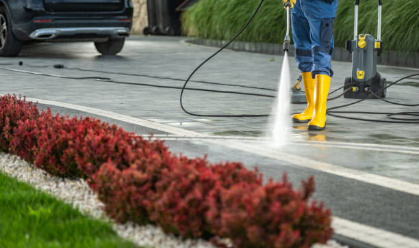 Best Solar Panel Cleaning  in Oakhurst, CA